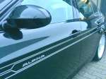 alpina-d313.jpg