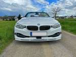 alpina-d4-cabrio-biturbo-switch-tronic4.jpg