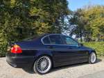 alpina-b315.jpg